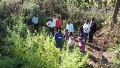 પોશીના: તાલુકાના લાખિયામાં પોલીસે ડ્રોન ઉડાડી ને રૂ.1.13 કરોડના ગાંજા ના છોડ સાથે એક આરોપીને ઝડપી પાડ્યો