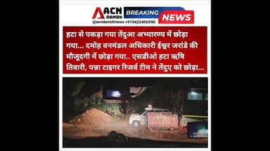 तेंदुआ छोड़ा गया...