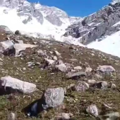 टापरी: किन्नौर के युला कंडे में हुई बर्फबारी, तस्वीरें आई सामने, स्थानीय पंचायत व कमेटी ने लोगों से सफर न करने का किया आग्रह