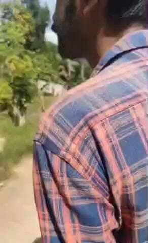 கிள்ளியூர்: வாவரைப் பகுதியில் சாலையோர மதில் சுவரில் பதுங்கி இருந்த அனலி வகை பாம்பை பிடித்த தீயணைப்பு துறையினர்