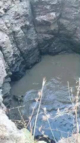 sirpoi gujaran mei kuye mei nilgaye ka reskyu duwara jan bachai