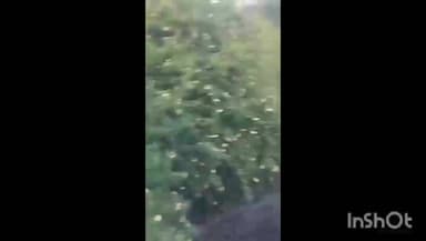 आठनेर: सातनेर में पंचायती कुएं की हालत खस्ता, ग्रामीण कर रहे उपयोग, जनपद पंचायत सीईओ से सफाई की मांग