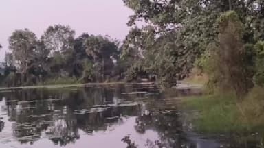 ହିନ୍ଦୋଳ: ହିନ୍ଦୋଳ ଗାଡର ଖାଇ ବନ୍ଧରେ ୫୦ ରୁ ଉର୍ଦ୍ଦ ହାତୀ