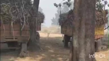 अमेठी: भेटुआ में गन्ना खरीद केंद्र से किसान परेशान, धीमी खरीद और पर्चियों में मनमानी का आरोप