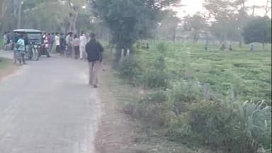 মাটিয়া: ফুটুৰীপাৰাত প্ৰকাণ্ড বন্যহস্তী এটাই দিনৰ ভাগতহে বিচৰণ কৰাত অঞ্চলটোত হুৱা দুৱাৰ সৃষ্টি হয়