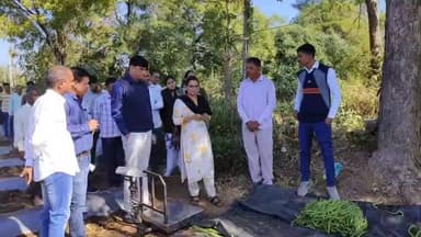 બોડેલી: ઉંચાપાન ગામમાં માનનીય કલેક્ટર ગાર્ગી જૈન દ્વારા બીપીનભાઈ રાઠવાના ખેતરની મુલાકાત લીધી.