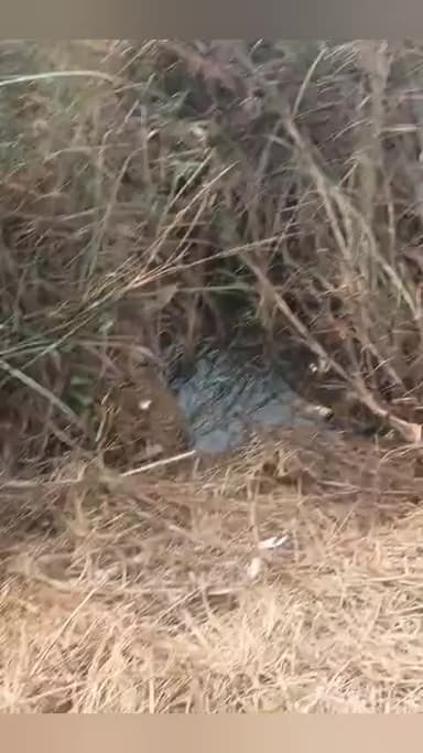 नानपुर: नानपुर के बिरार गांव में गड्ढे से लापता वृद्ध का शव मिला