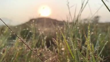 ଯଶିପୁର: ହାଡ଼ଭଙ୍ଗା ଶୀତରେ ଥରୁଛି ମୟୁରଭଞ୍ଜ । ଆଜି ଜିଲ୍ଲାରେ ସର୍ବନିମ୍ନ ତାପମାତ୍ରା ୩ ଡିଗ୍ରୀ କୁ ଖସିଲା ପାରଦ