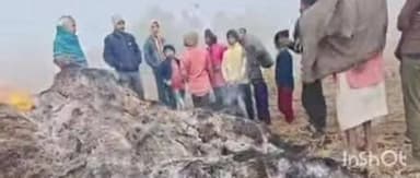 लौकही: लौकही प्रखंड के नवटोली में अज्ञात लोगों ने दो एकड़ जमीन पर काटी गई धान की फसल में लगाई आग