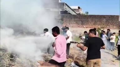 તારાપુર: મોરજ ગામે તબેલામાં આગ ભભુકી, ગ્રામલોકોએ 10 બચાવી લીધી, 1 ગાય દાઝી ગઈ