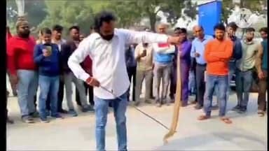 बस्ती: बस्ती जिले के मारुति सुजुकी एजेंसी में एशिया का सबसे जहरीला सांप निकला, रेस्क्यू टीम ने सांप को निकाला बाहर