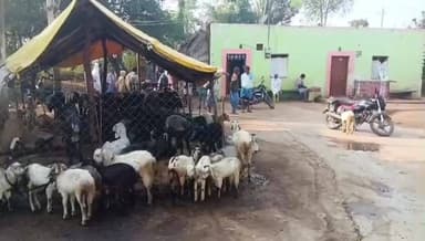 ಚಳ್ಳಕೆರೆ: ಕಾರ್ತಿಕೇನಹಟ್ಟಿಯಲ್ಲಿ ಮನೆ ಮುಂದೆ ಇದ್ದ ಕುರಿಮೇಕೆಗಳ ಕಳ್ಳತನ:ಘಟನಾ ಸ್ಥಳಕ್ಕೆ ಪಿಎಸ್ ಐ ಪಾಂಡುರಂಗಪ್ಪ ಭೇಟಿ