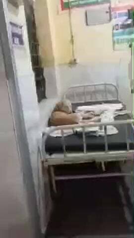 नौतन: CHC नौतन में सिस्टम बेपटरी: वार्ड के बेड पर कुत्ता दिखा, वीडियो वायरल, स्वास्थ्य व्यवस्था पर सवाल