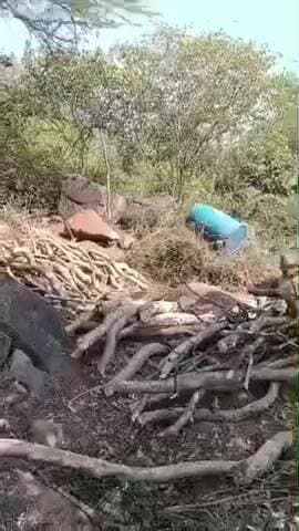 ભાણવડ: ભાણવડના બરડા ડુંગર વિસ્તારમાં દેશી દારૂની ભઠ્ઠી પર LCB ત્રાટકી 45 હજારનો મુદ્દામાલ કબ્જે..