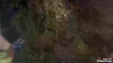 चुनार: अदलहाट में गो तस्कर से हुई मुठभेड़ के मामले में क्षेत्राधिकार चुनार का बयान, बताया एक साथी मौका देख कर हुआ फरार