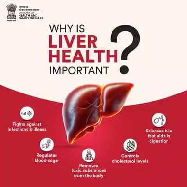 #LiverHealth | Take care of it for a healthier you!
From fighting infections to regulating blood sugar and controlling cholesterol levels, your liver does it all.