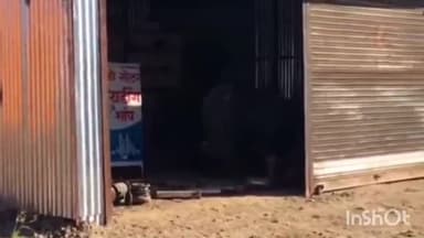 फुलंब्री: फुलंब्री शहरातील खुलताबाद रस्त्यावरील पेट्रोल पंपा जवळ बाईंडिंग वायरच्या दुकानांमध्ये चोरी