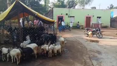 ಚಳ್ಳಕೆರೆ: ಕಾರ್ತಿಕೇನಹಟ್ಟಿ ಗ್ರಾಮದಲ್ಲಿ ಕುರಿ ಕದ್ದ ಕಳ್ಳರು: ನಾಯಕನಹಟ್ಟಿ ಠಾಣಾ ವ್ಯಾಪ್ತಿಯಲ್ಲಿ ಘಟನೆ