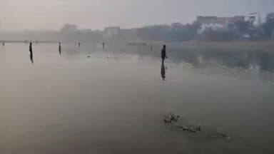 मुरादाबाद: रामगंगा नदी में अचानक केमिकल का पानी आने से मरी हजारों मछलियां, स्थानीय लोगों ने जान जोखिम में डालकर पकड़ी मछलियां