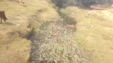 डंडई: करंट से मछली मारते युवक पर मत्स्य मित्र की फटकार, दोबारा पकड़े गए तो होगी सख्त कानूनी कार्रवाई