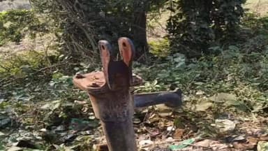 सुप्पी: मोहिनी मंडल हॉल्ट पर चापाकल का हैंडल चोरी, पुलिस जांच में जुटी