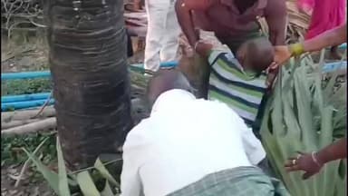 వెంకటాపుర్: పాలంపేటలో తాడిచెట్టి పైనుండి పడి గీత కార్మికుడికి తీవ్ర గాయాలు