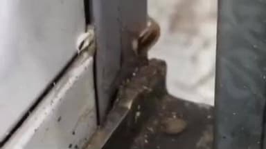 मानपुर: उड़नदस्ते की टीम ने ताला के ओविल होटल रिसोर्ट में खाद्य पदार्थों की गुणवत्ता जांच की, गंभीर अनियमितताएं मिलीं