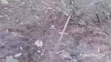 नैनीताल: भवाली घूमने आए पर्यटकों की कार शुक्रवार को श्यामखेत के पास करीब 30 फीट गहरी खाई में गिरी, दो लोग घायल