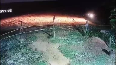 ଉଦଳା: ସୁରୁକୁନା ଗ୍ରାମରୁ ଲକ୍ଷାଧିକ ଟଙ୍କାର ଛେଳି ଚ଼ୋରି ନେଇ ଅଭିଯୋଗ