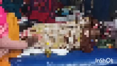 वारिसलीगंज: वारिसलीगंज बाजार में ई-रिक्शा की चपेट में आने से एक महिला हुई घायल