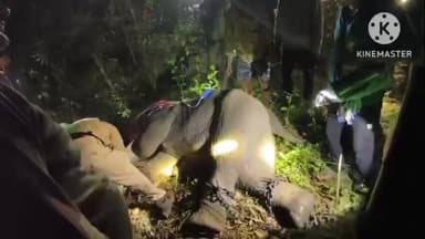 ବଡସାହି: ଭଣ୍ଡାରିଶୋଳ ଠାରେ ଅସୁସ୍ଥ ମାଈହାତୀକୁ ଟ୍ରାଙ୍କୁଲାଇଜ କରିବାରେ ସଫଳହେଲା ବନବିଭାଗ, ଉନ୍ନତଚିକିତ୍ସା ପାଇଁ ସ୍ଥାନାନ୍ତର କରାଗଲା