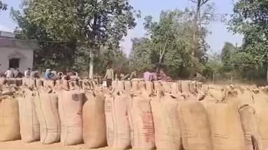 ओडगी: जिले में इस साल धान खरीदी ने नया रिकॉर्ड बनाया, कलेक्टर एस. जयवर्धन के निर्देशन में समर्थन मूल्य पर पारदर्शी धान खरीदी