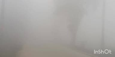 देसरी: देसरी में भीषण ठंड से जनजीवन अस्तव्यस्त, कोहरे से लोग परेशान