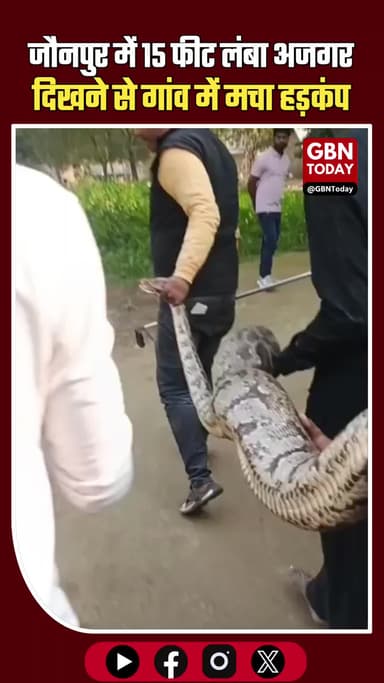 जौनपुर के केराकत में 15 फीट लंबा अजगर दिखने से गांव में दहशत #Jaunpur #Kerakat #Python #Ajgar #WildlifeAlert