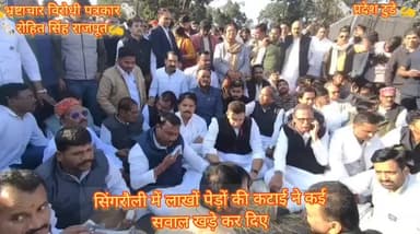 नेताप्रतिपक्ष बोले सिंगरौली में पेड़ों का कत्लेआम,ज़मीन अधिग्रहण,अडानी को दिया जा रहा है जनता की जमीन जनता का मुद्दा है