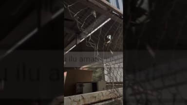 #नवादा सदर #अस्पताल से #लाखों के #ऑक्सीजन प्लांट उपकरण #चोरी,चोरों ने कैंपस में घुसकर #घटना