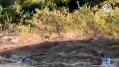 দেৰগাঁও: দেৰগাঁৱত একাংশ দুষ্ট চক্ৰই যতে ততে মাতি কাটি বিস্তৰ ক্ষতিসাধন কৰিছে কৃষকৰ বুলি অভিযো অভিযোগ উত্থাপন