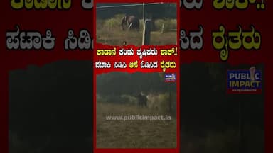 ಕಾಡಾನೆ ಕಂಡು ಕೃಷಿಕರು ಶಾಕ್.!ಪಟಾಕಿ ಸಿಡಿಸಿ ಆನೆ ಓಡಿಸಿದ ರೈತರು