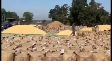 धनोरा: धनोरा क्षेत्र के खरीदी केंद्र पर पहुंचे विधायक रजनीश सिंह ठाकुर, किसानों की सुनी समस्या