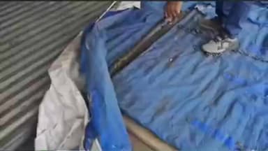 लोणार: लोणार येथे नायब तहसीलदार यांना दिसला घोणस साप सर्पमित्रांनी केला रेस्क्यू