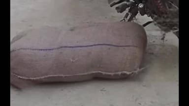 राघोपुर: राघोपुर में पुलिस की बड़ी कार्रवाई, 300 लीटर देसी शराब जब्त, एक तस्कर गिरफ्तार