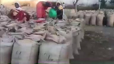 जयसिंहनगर: करकी के धान उपार्जन केंद्र में महिलाओं द्वारा धान निकालने का वीडियो हुआ वायरल