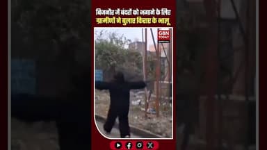 बिजनौर में बंदरों को भगाने के लिए ग्रामीणों ने बुलाए किराए के भालू #Bijnor #Monkeys #AnimalControl