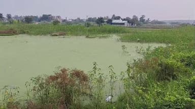 உளுந்தூர்பேட்டை: பிடாகம் ஊராட்சிக்கு உட்பட்ட ஏரியில் குப்பைகள் கொட்டி நீர்நிலைகளை ஆக்கிரமிப்பு செய்யும் ஊராட்சி நிர்வாகம்