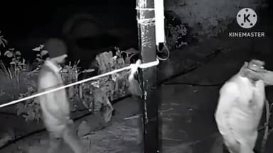 मुळशी: पानशेतजवळील डावजे येथील विजेची दोन रोहित्रे चोरट्यांनी फोडून त्यातील लाखो रुपयांचे साहित्य चोरून नेले