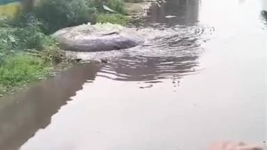 திண்டுக்கல் கிழக்கு: சாக்கடையால் அவதி அடையும் வாகன ஓட்டிகள் மற்றும் பொதுமக்கள் - கண்டுகொள்ளாத மாநகராட்சி, தொற்றுநோய் பரவும் அபாயம்