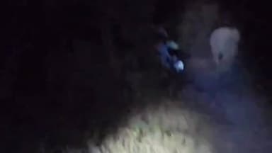 पेण्ड्रा: पसान क्षेत्र से विचरण करता एक नर हाथी पहुंचा मरवाही रेंज के नाका गांव, वन विभाग सतर्क