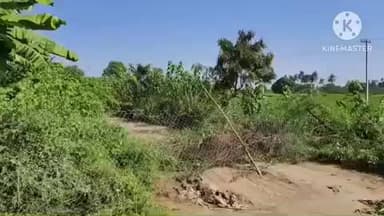 குளித்தலை: புதுப்பட்டியில் பொது நடைபாதையை தனிநபர் வேலி போட்டு அடைத்ததால் பொதுமக்கள் சாலை மறியல் போராட்டம்