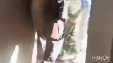 सेपउ: महिलाएं अपराधियों को बचाने के लिए बन रहीं ढाल, पुलिस टीम का विरोध करते हुए वीडियो सोशल मीडिया पर वायरल