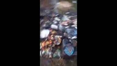 ठाकुरगंगटी: ठाकुर गंगटी प्रखंड के दूधकोल गांव में आग लगने से दुकान का सामान जलकर राख